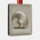 Zeeen schelp metalen ornament (Rechts)