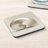 Zeeen schelp onderzetter (Linkerzijde)