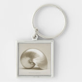 Zeeen schelp sleutelhanger (Voorkant)
