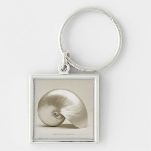 Zeeen schelp sleutelhanger