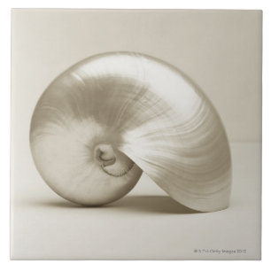 Zeeen schelp tegeltje