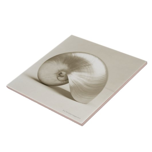 Zeeen schelp tegeltje (Zijkant)