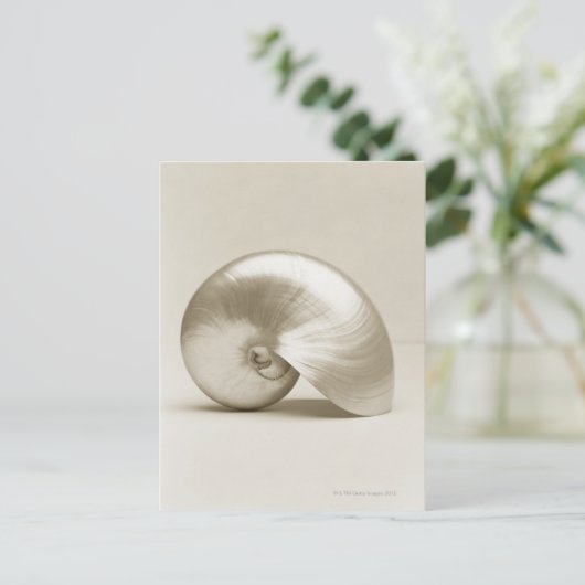 Zeeen schelp van geparelde nautilus briefkaart (Staand voorkant)