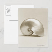 Zeeen schelp van geparelde nautilus briefkaart (Voorkant / Achterkant)