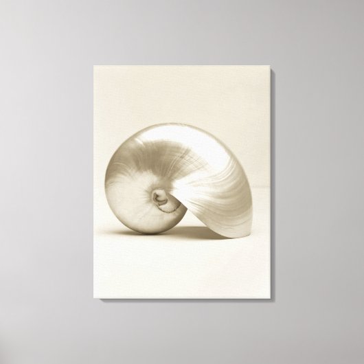 Zeeen schelp van geparelde nautilus canvas afdruk (Voorkant)