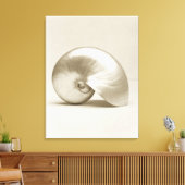 Zeeen schelp van geparelde nautilus canvas afdruk (Insitu (Woonkamer))