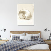 Zeeen schelp van geparelde nautilus canvas afdruk (Insitu (Slaapkamer))