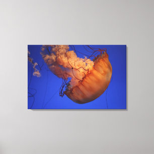Zeeen schelpdieren canvas afdruk