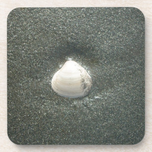 Zeeen schelpen Hakuna Matata.JPG Bier Onderzetter