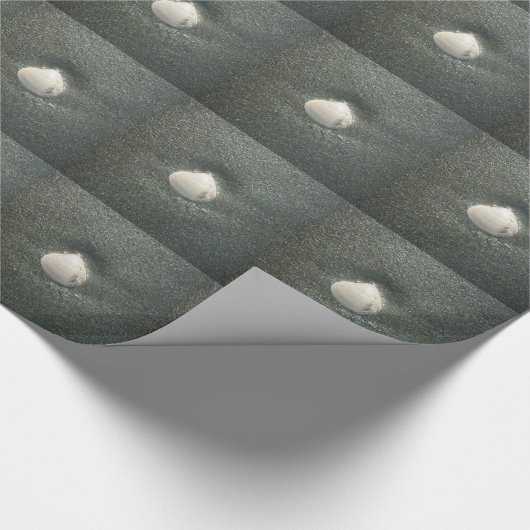 Zeeen schelpen Hakuna Matata.JPG Cadeaupapier (Hoek)