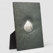 Zeeen schelpen Hakuna Matata.JPG Fotoplaat (Zijkant)