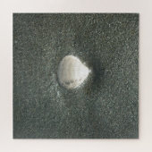 Zeeen schelpen Hakuna Matata.JPG Legpuzzel (Horizontaal)