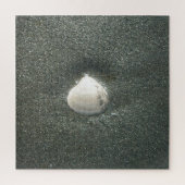 Zeeen schelpen Hakuna Matata.JPG Legpuzzel (Verticaal)