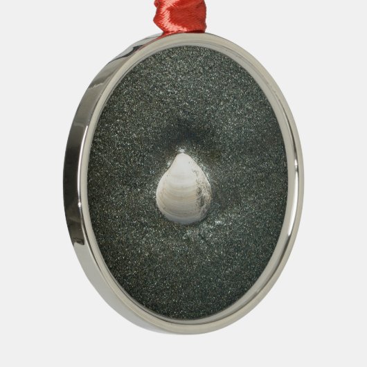 Zeeen schelpen Hakuna Matata.JPG Metalen Ornament (Rechts)