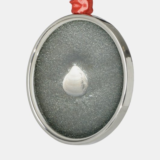 Zeeen schelpen Hakuna Matata.JPG Metalen Ornament (Links)