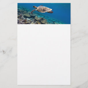 Zeeen schildpad briefpapier