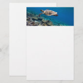 Zeeen schildpad briefpapier (Voorkant / Achterkant)