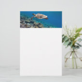 Zeeen schildpad briefpapier (Staand voorkant)