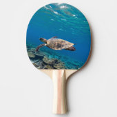 Zeeen schildpad tafeltennisbatje (Voorkant)
