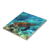 zeeen schildpad tegeltje (Zijkant)