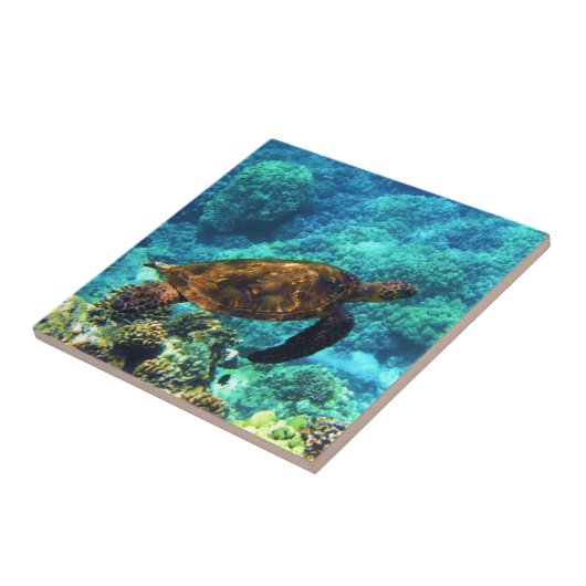 zeeen schildpad tegeltje (Zijkant)