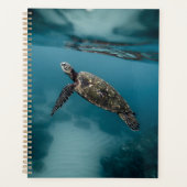 Zeeen schildpadden en reptielen fotografie van wil planner (Voorkant)