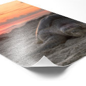 Zeeen schildpadden op zonsondergang foto afdruk (Hoek)