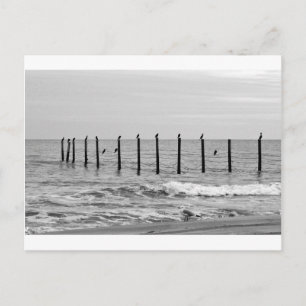 zeeen slokken op het strand briefkaart