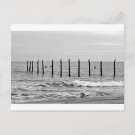 zeeen slokken op het strand briefkaart