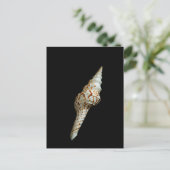 Zeeen spindle briefkaart (Staand voorkant)