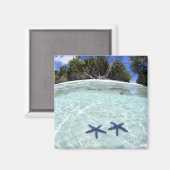 Zeeen sterren, Rock Islands, Palau 2 Magneet (Voorkant / Achterkant)