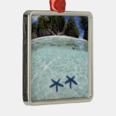 Zeeen sterren, Rock Islands, Palau 2 Metalen Ornament (Rechts)