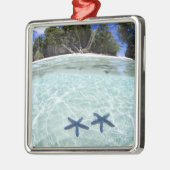 Zeeen sterren, Rock Islands, Palau 2 Metalen Ornament (Links)