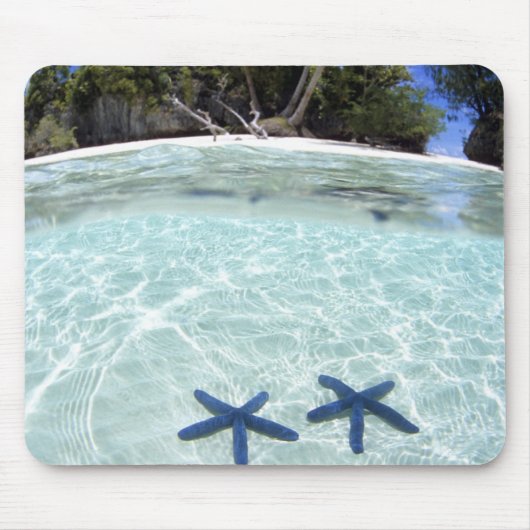 Zeeen sterren, Rock Islands, Palau 2 Muismat (Voorkant)