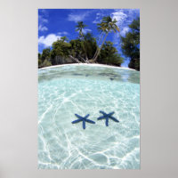 Zeeen sterren, Rock Islands, Palau 2