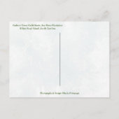 Zeeen van de groeten van Hilton Head SC Harbour To Briefkaart (Achterkant)