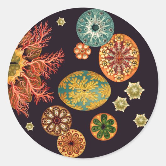 Zeeen vierkant achtervoegsel Stickers (Voorkant)