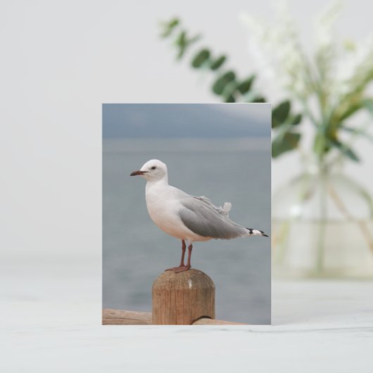 zeeen vogel briefkaart (Staand voorkant)