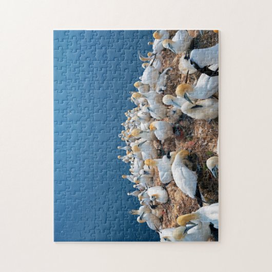 Zeeen vogels legpuzzel (Verticaal)