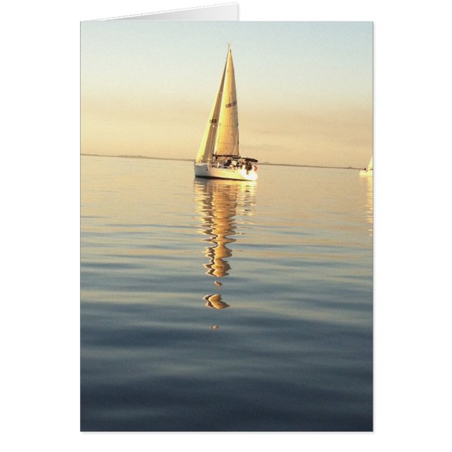 Zeeen wissen (Voorkant)