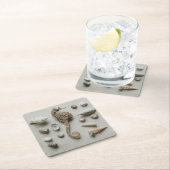 Zeef en schelp kartonnen onderzetters (Insitu)