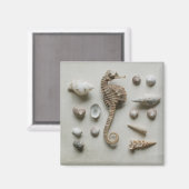 Zeef en schelp magneet (Voorkant / Achterkant)