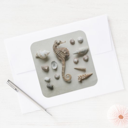 Zeef en schelp vierkante sticker (Envelop)