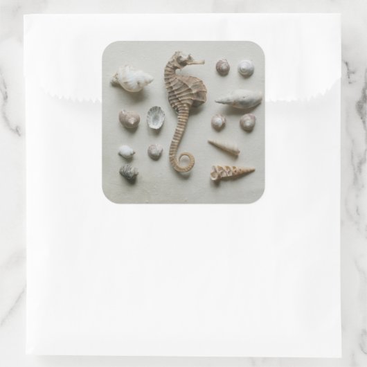 Zeef en schelp vierkante sticker (Tas)