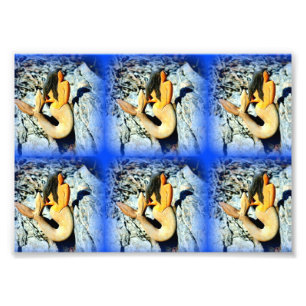 zeegaasmaiden blauw foto afdruk