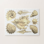 Zeegal aan zee van het strand van Seashell Legpuzzel (Horizontaal)