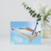 Zeegarenden in het Briefkaart van de vlucht (Staand voorkant)