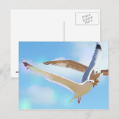 Zeegarenden in het Briefkaart van de vlucht (Voorkant / Achterkant)