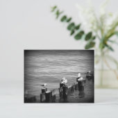 zeegarens briefkaart (Staand voorkant)