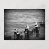 zeegarens briefkaart (Voorkant)